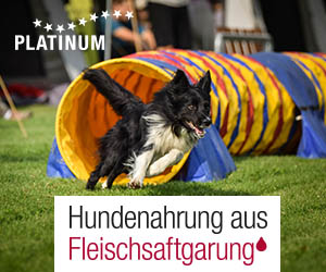 Banner-agility1.jpg